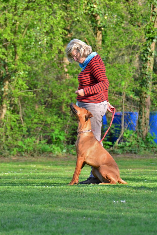 Spass mit Hund und Hoopers 32