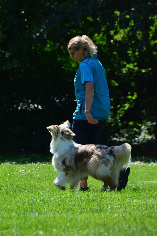 2022-05-22 Rally Obedience Turnier 031