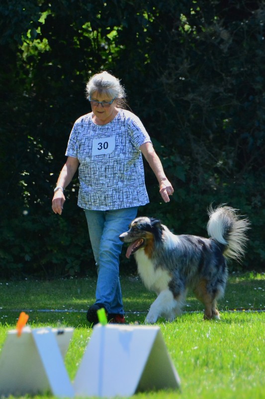2022-05-22 Rally Obedience Turnier 040