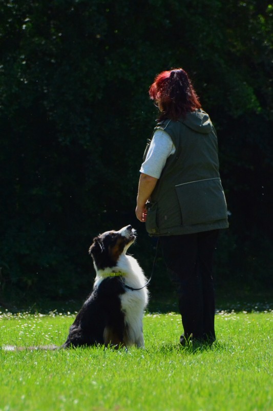 2022-05-22 Rally Obedience Turnier 048