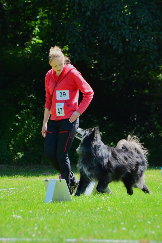 2022-05-22 Rally Obedience Turnier 063