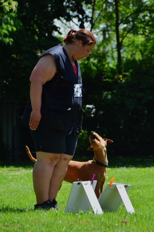 2022-05-22 Rally Obedience Turnier 086