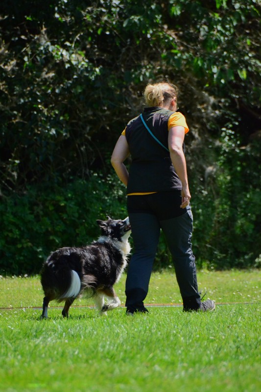 2022-05-22 Rally Obedience Turnier 091