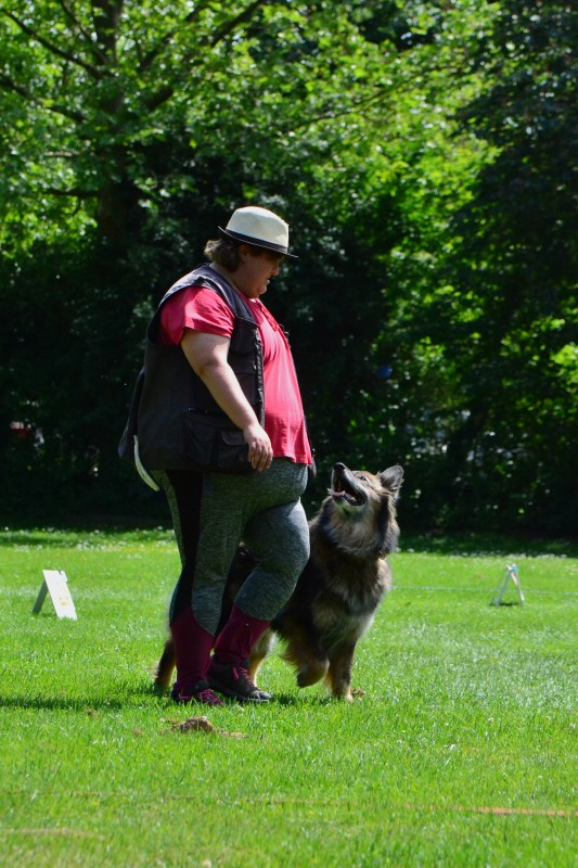 2022-05-22 Rally Obedience Turnier 130