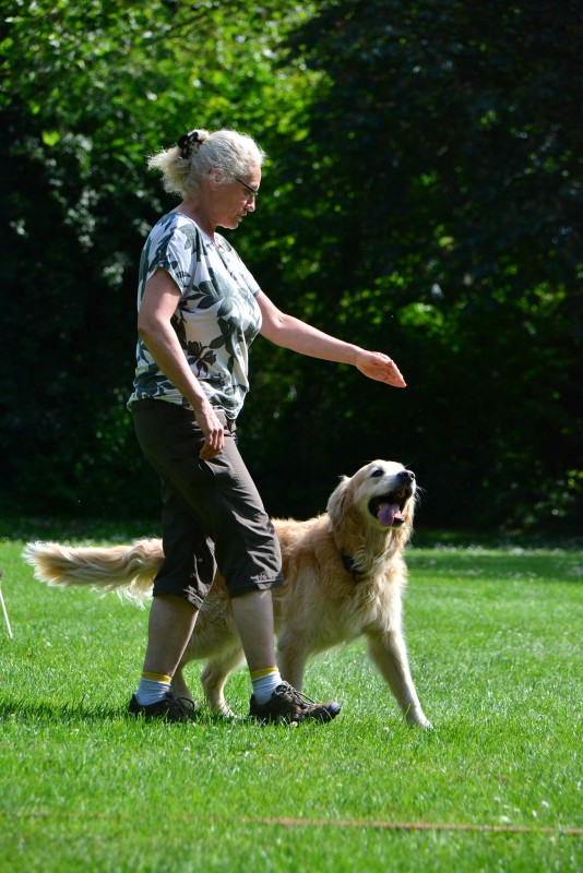 2022-05-22 Rally Obedience Turnier 178