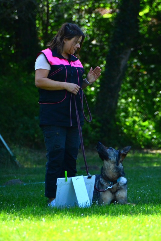 2022-05-22 Rally Obedience Turnier 242