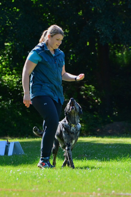 2022-05-22 Rally Obedience Turnier 274