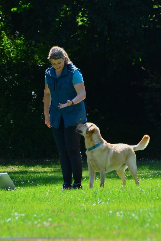 2022-05-22 Rally Obedience Turnier 343