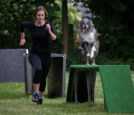 Turnierhundsport 5