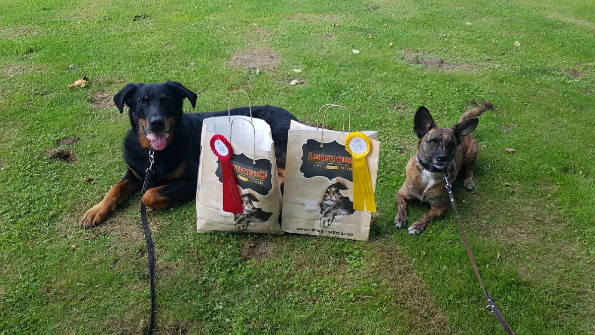 2024-08-25 Rally Obedience 2
