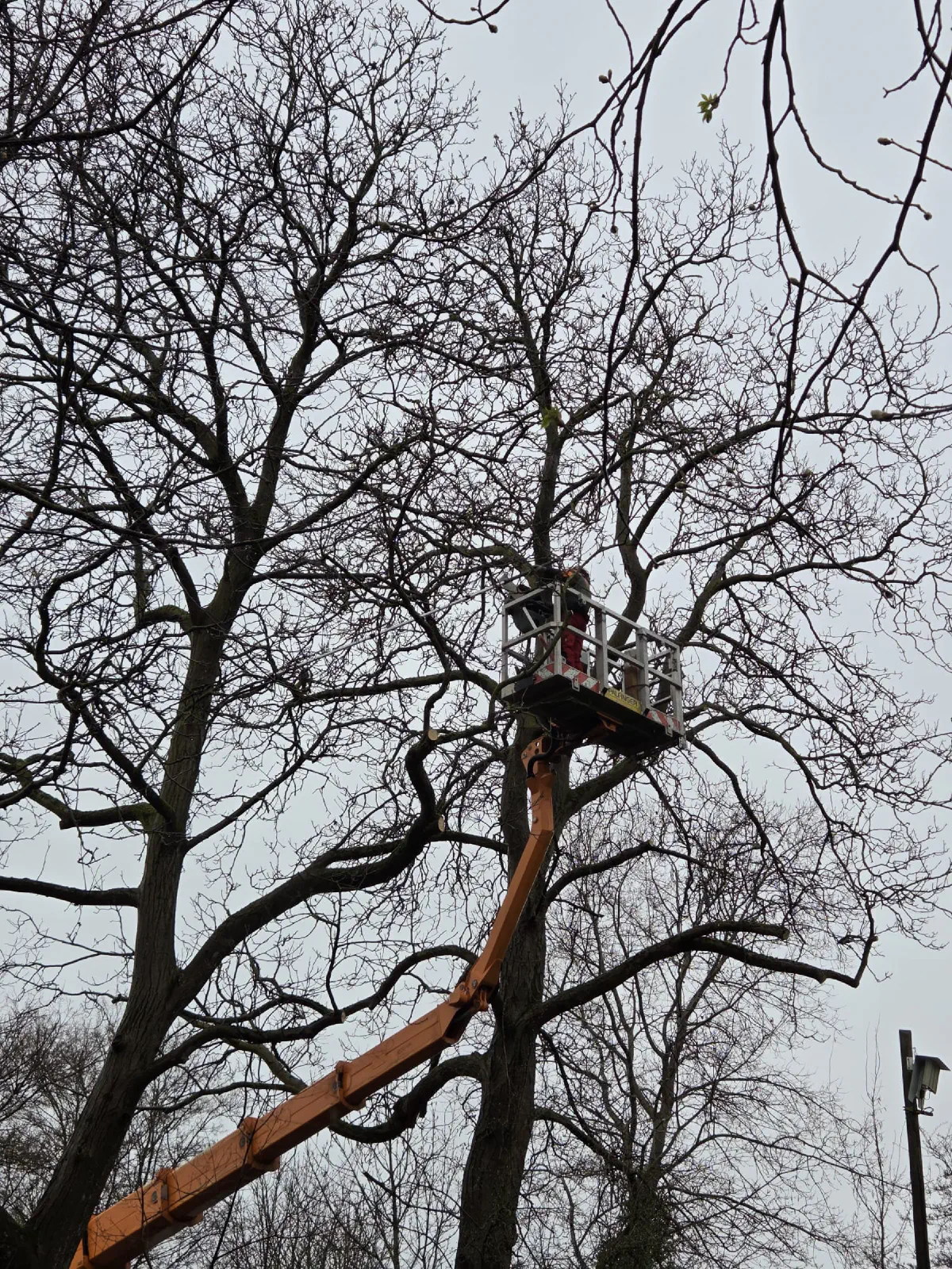 2026-03-14 Arbeitseinsatz 03