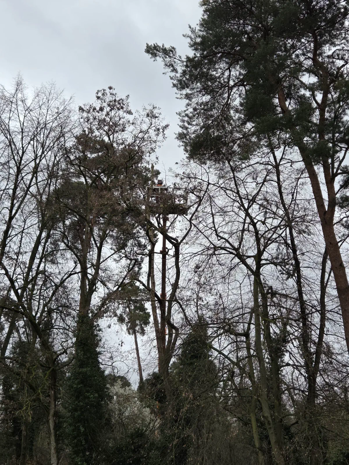 2026-03-14 Arbeitseinsatz 05